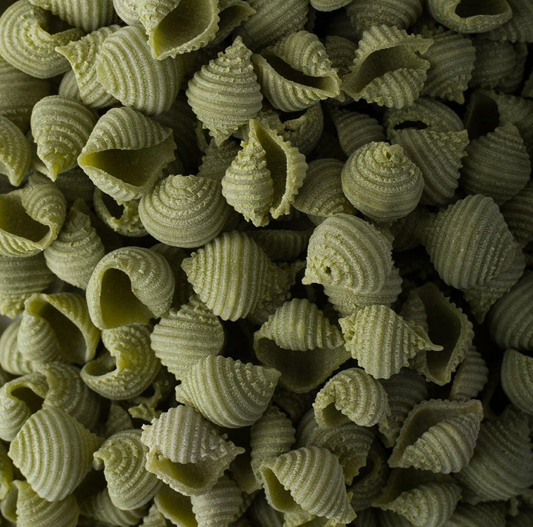 Spinach Conchiglie